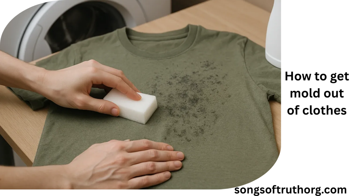 how to get mold out of clothes
