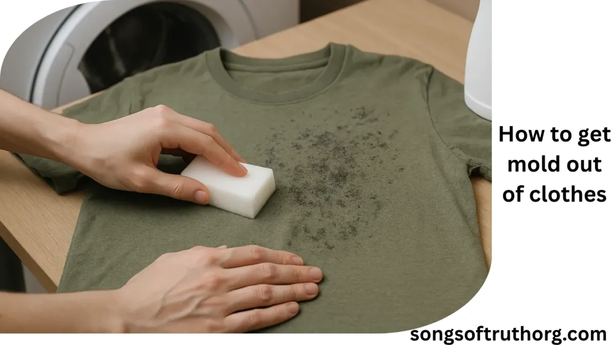 how to get mold out of clothes